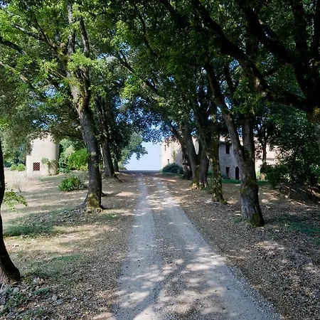Pipistrelli Stigliano