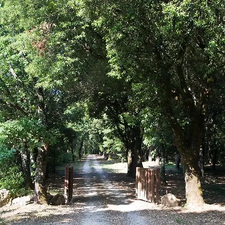 Pipistrelli * Stigliano (Basilicata)